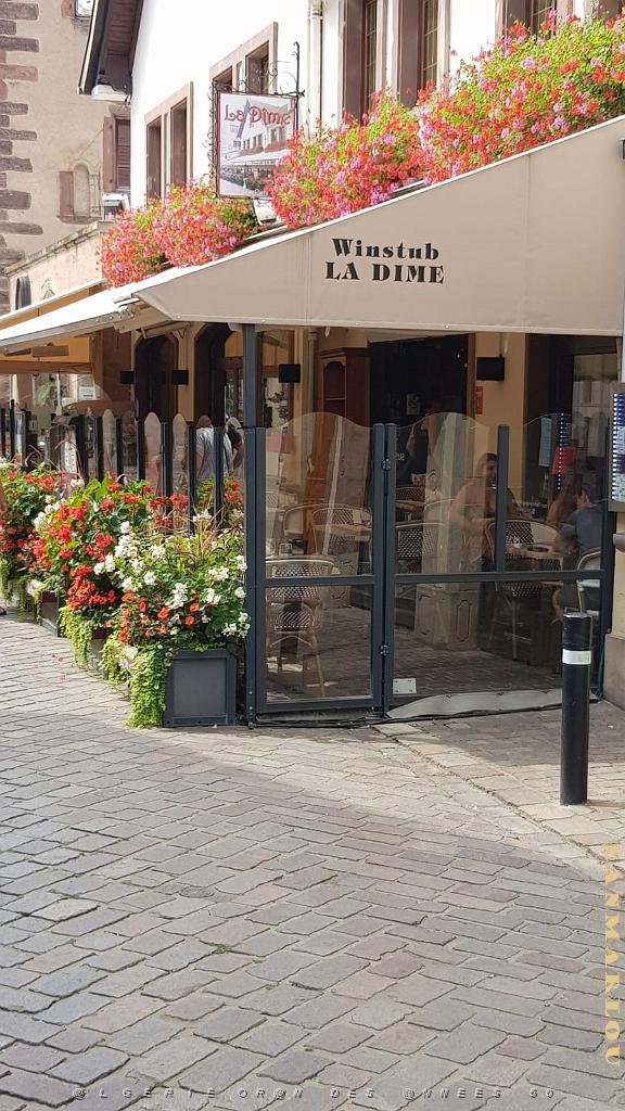2022 08 DU COTE DE STRASBOURG_5.JPG